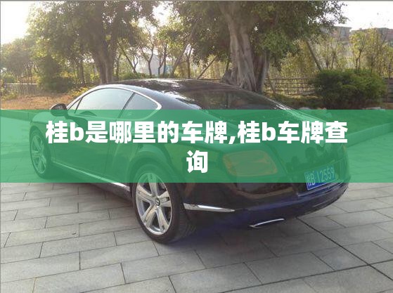 国产SUV车哪款性价比高？