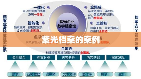紫光档案的案例