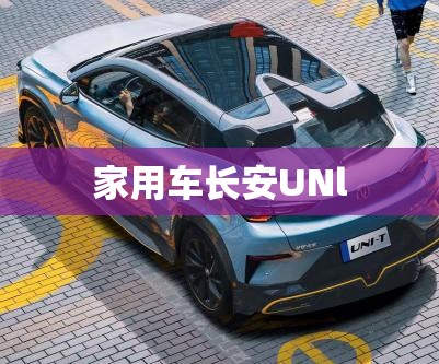 家用车长安UNl