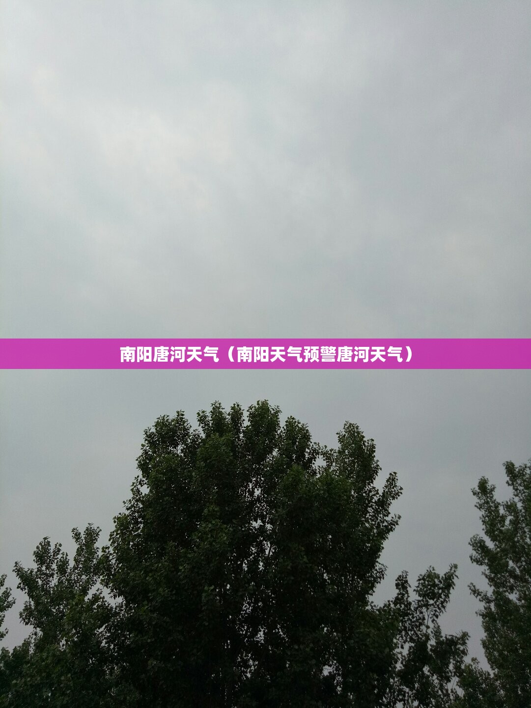 通达信软件选股器使用教程_1