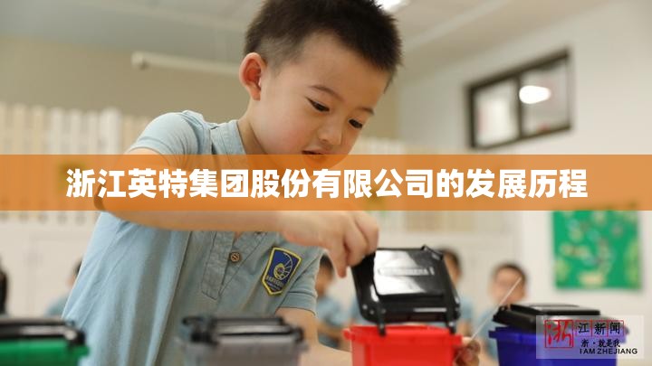 浙江英特集团股份有限公司的发展历程