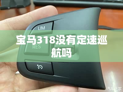 宝马318没有定速巡航吗