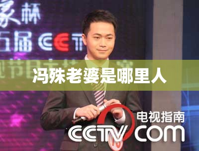 赛力斯sf5使用说明/赛力斯sf5ev