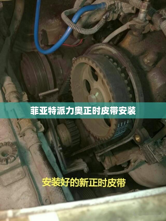菲亚特派力奥正时皮带安装