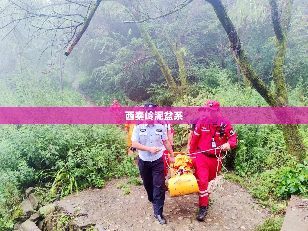 吉安泰和天气预报15天（吉安泰和什么天气）