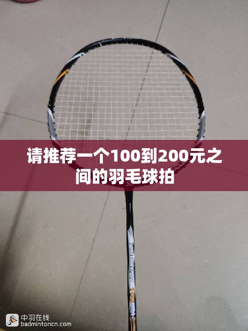 【全自动洗车机多少钱一套,全自动洗车机要多少钱】