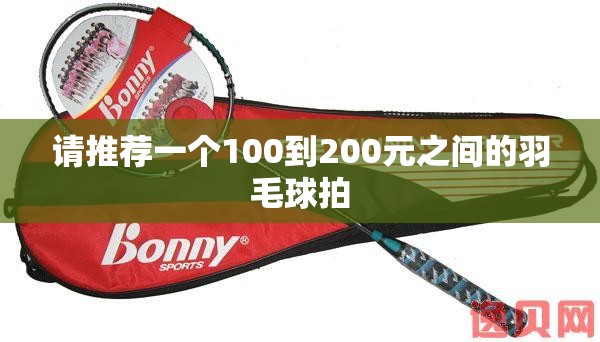 请推荐一个100到200元之间的羽毛球拍