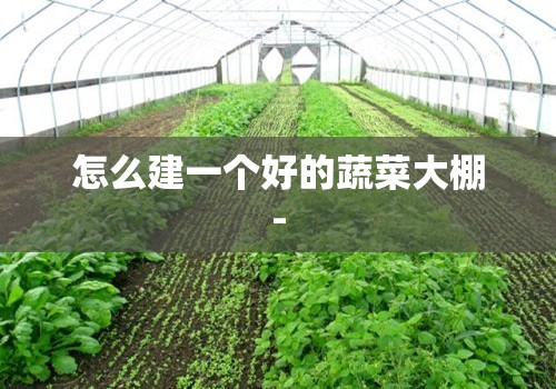 中国规模最大的车展