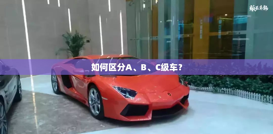手机炒股怎么开户/手机怎么炒股新手入门怎么开户