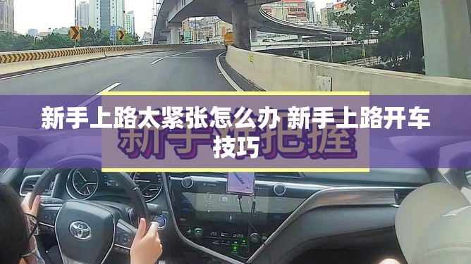 【陆风风华发动机号在哪里/陆风风华正时图片】