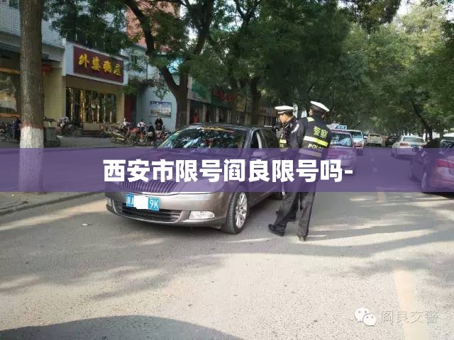 西安市限号阎良限号吗-