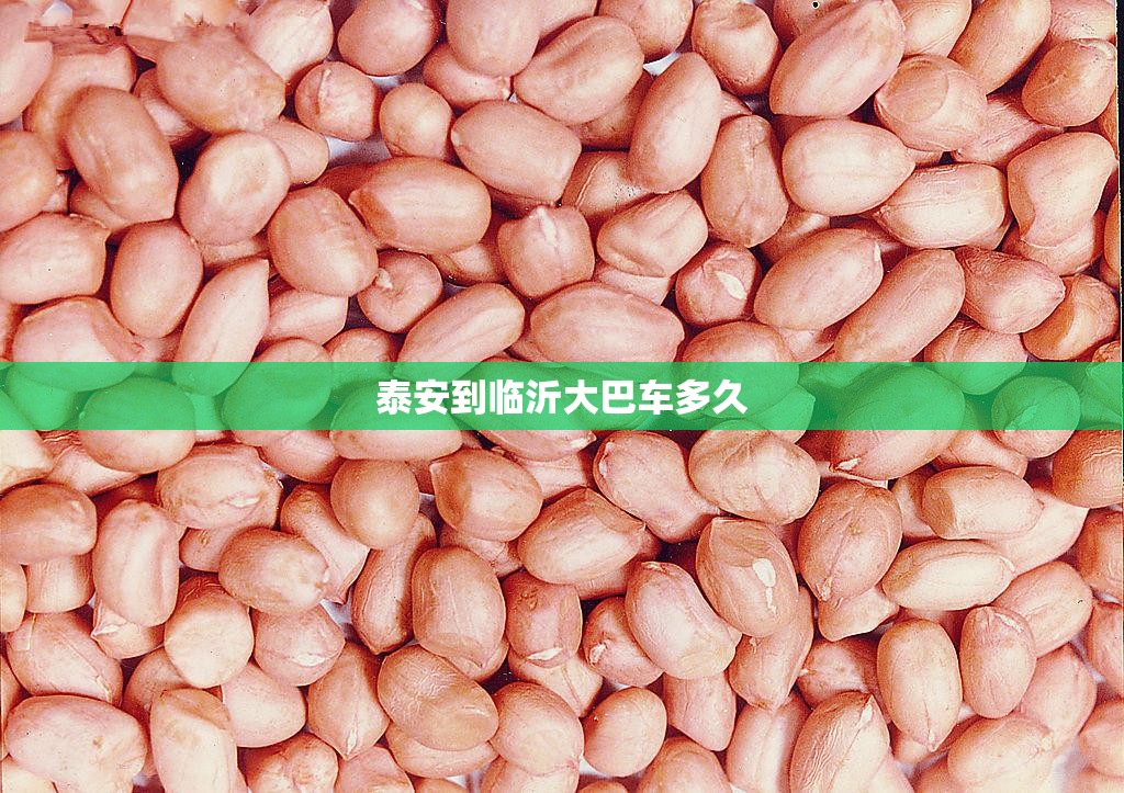 泰安到临沂大巴车多久