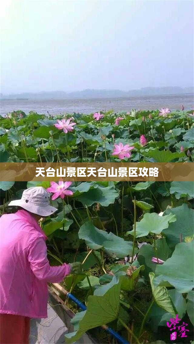 天台山景区天台山景区攻略