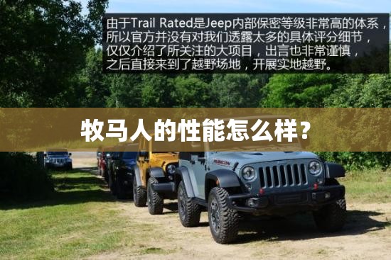 阿尔法汽车价格表