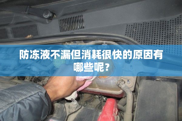 山东 东营简介