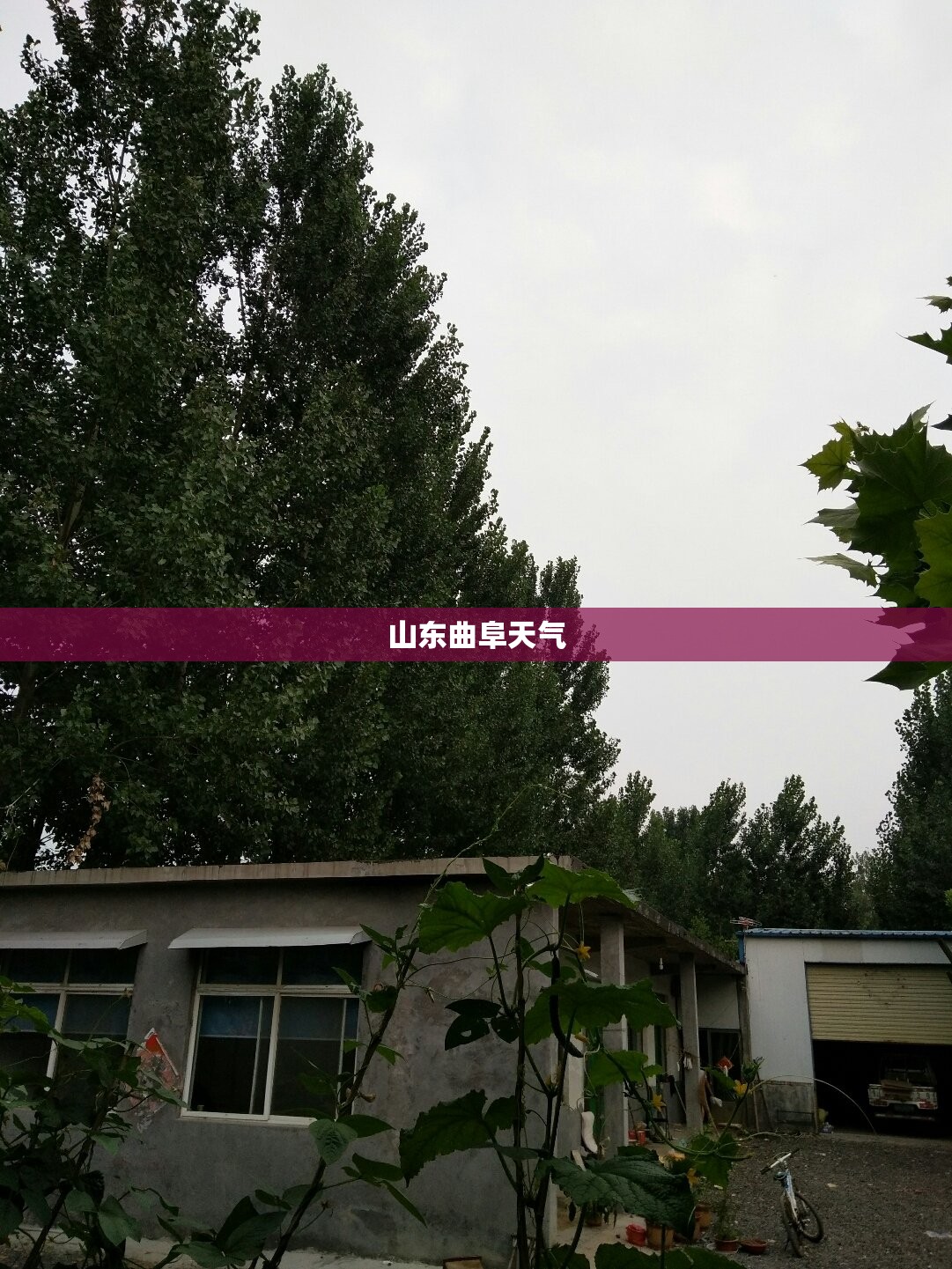 【中恒集团股份股票,中恒集团股份股票最新消息】