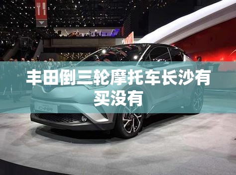 丰田倒三轮摩托车长沙有买没有