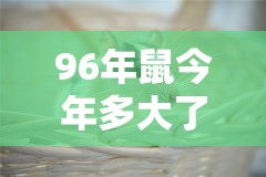 96年鼠今年多大了
