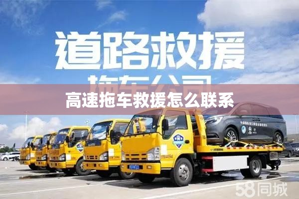 本田envix什么车