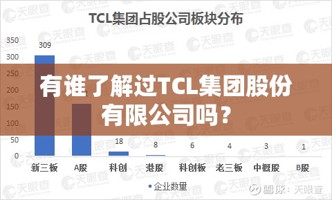 有谁了解过TCL集团股份有限公司吗? 有谁了解过TCL集团股份有限公司吗?