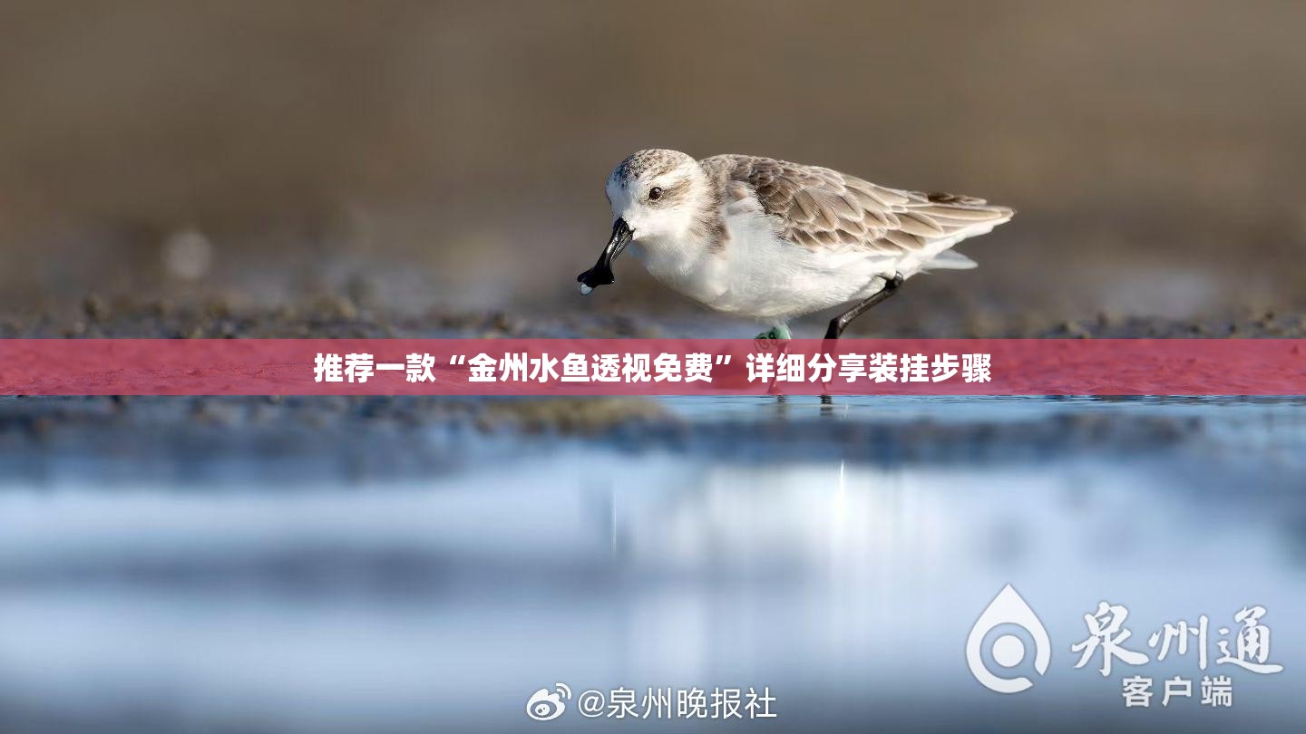 推荐一款“金州水鱼透视免费”详细分享装挂步骤