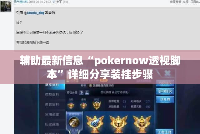 辅助最新信息“pokernow透视脚本	”详细分享装挂步骤