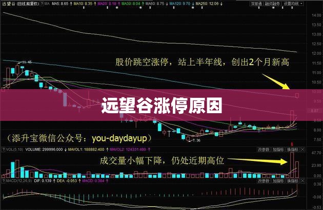 安装程序教程“闲云仙桃晃晃有挂吗”2026开挂教程步骤