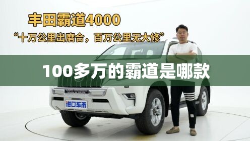 奔驰c260冰莓粉多少钱