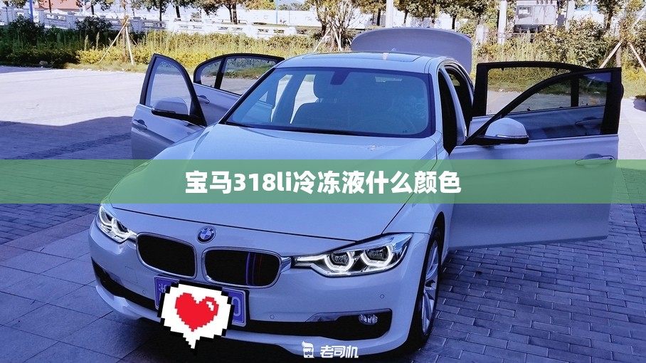 玩家辅助神器“福麻圈麻将可以开挂吗”开挂辅助透视教程