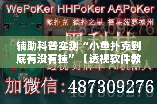 安装程序教程“老铁联盟辅助器”透视开挂辅助教程