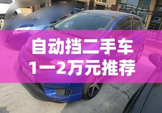 中老年t恤女短袖（中老年女装长袖t恤）