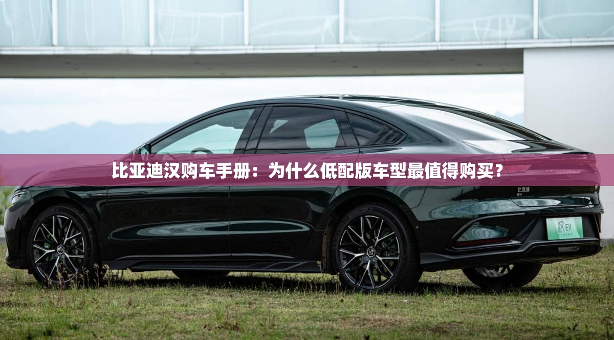 长城电车欧拉r1是油电混合吗