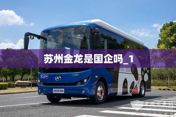苏州金龙是国企吗_1 苏州金龙是国企吗_1