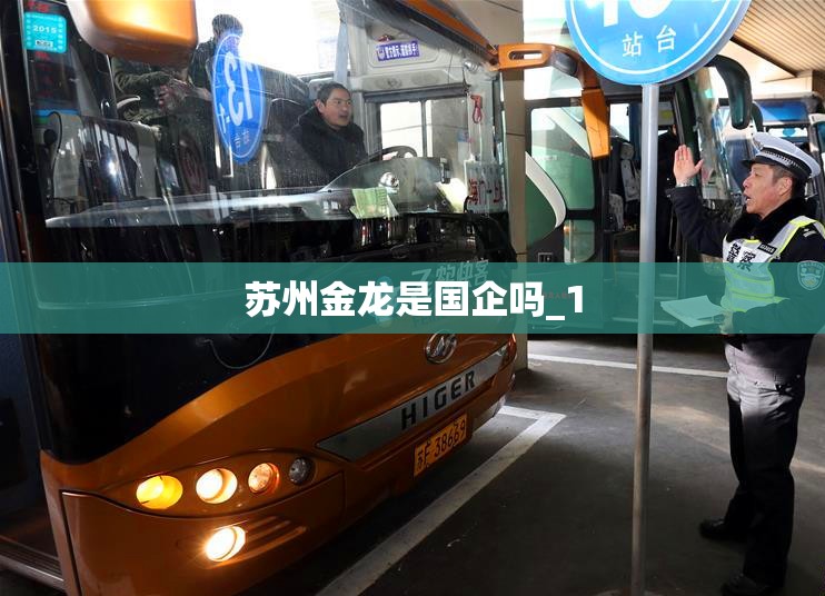 苏州金龙是国企吗_1 苏州金龙是国企吗_1