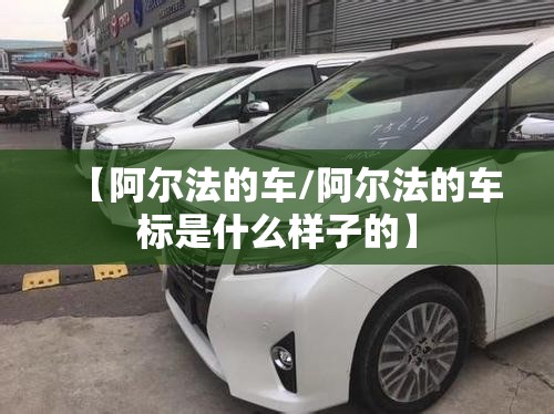 10万内最好电动汽车