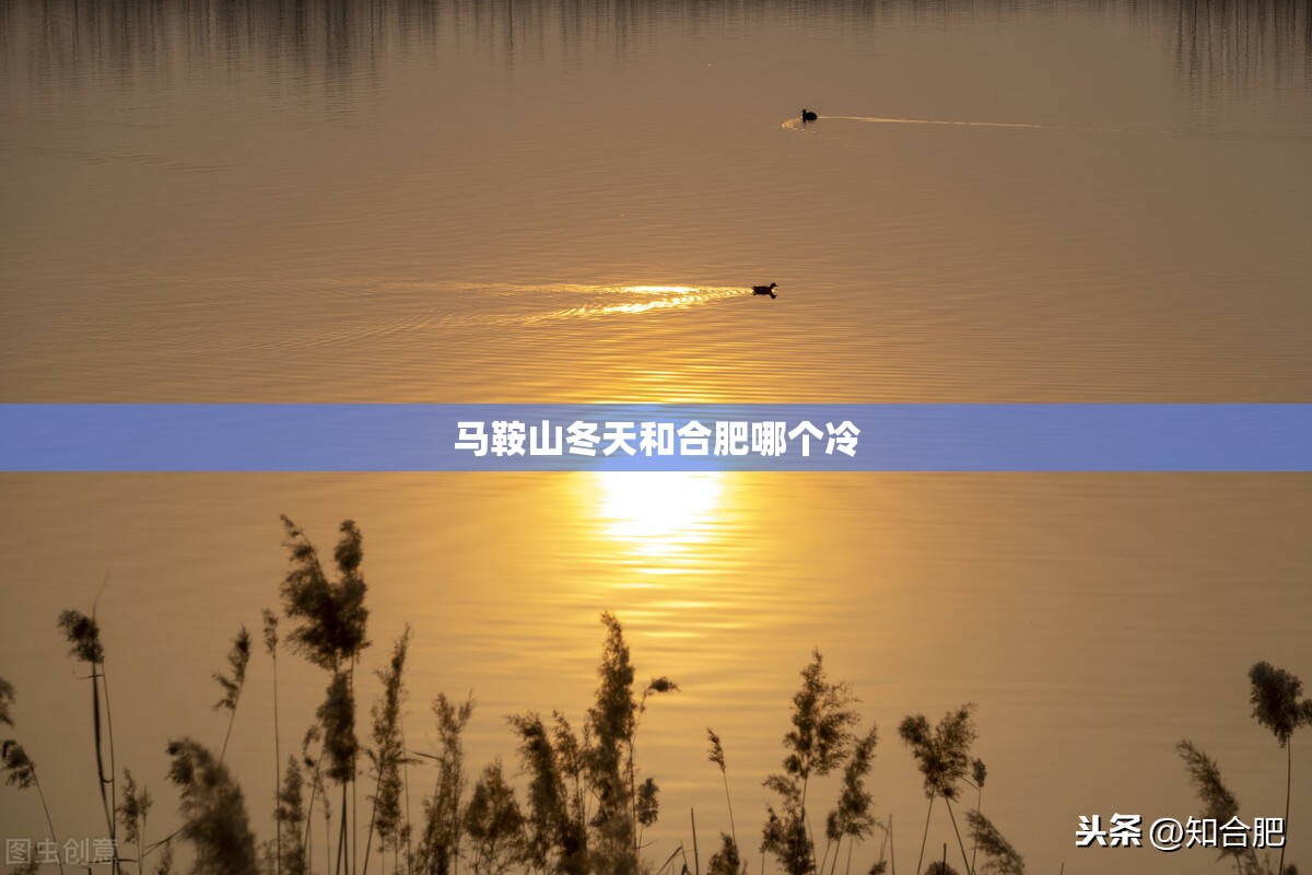 辅助教程分享“aapoker开挂透视方法(必备神器)”其实真的确实有挂