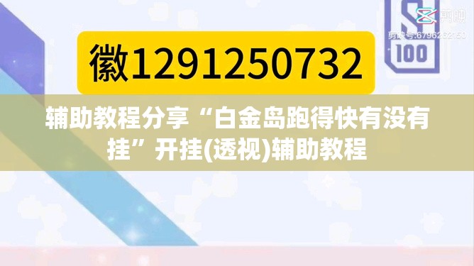 辅助教程分享“白金岛跑得快有没有挂”开挂(透视)辅助教程