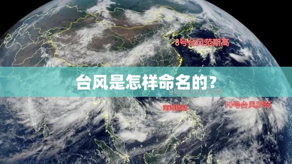 大洋电机发展前景,大洋电机主要客户