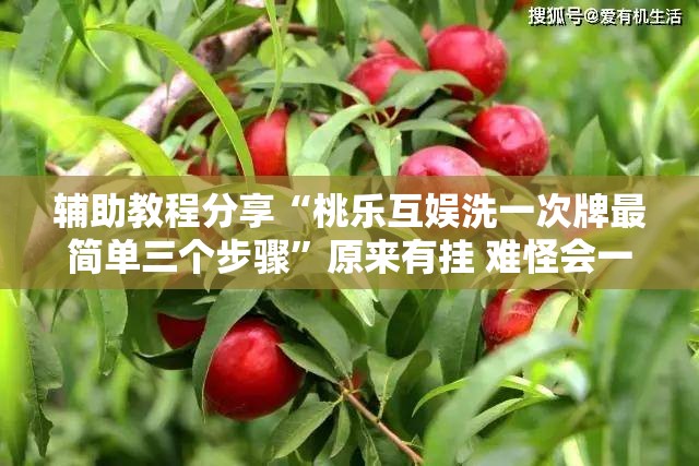 辅助教程分享“桃乐互娱洗一次牌最简单三个步骤	”原来有挂 难怪会一直输