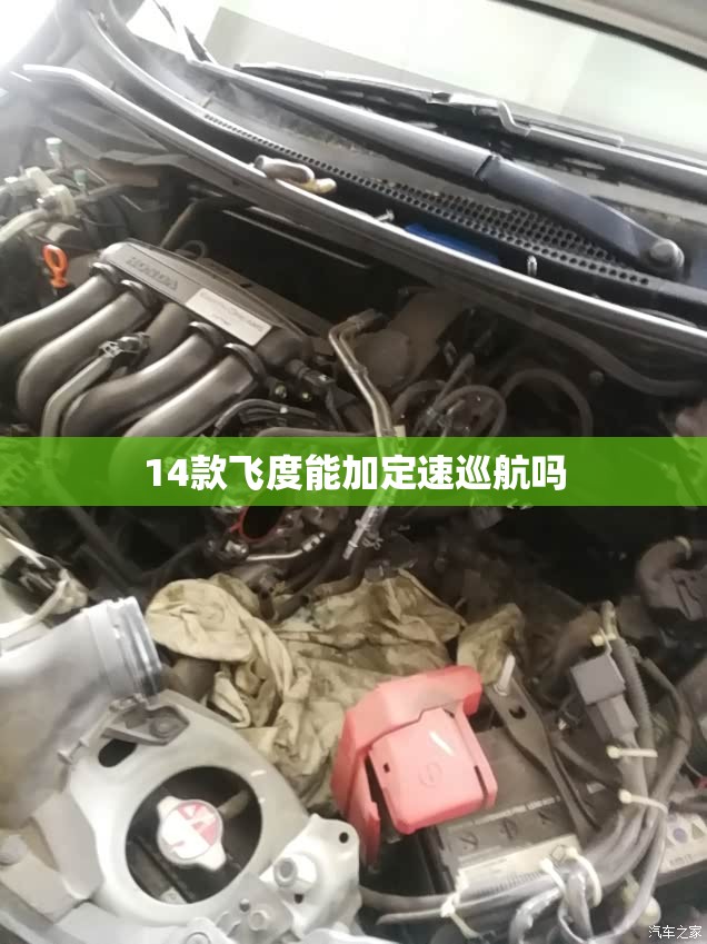 安装程序教程“秋水佳人可以开挂吗”详细分享装挂步骤