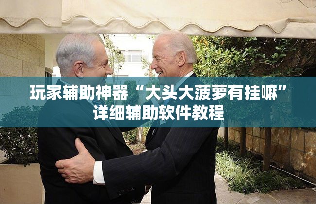 玩家辅助神器“大头大菠萝有挂嘛”详细辅助软件教程