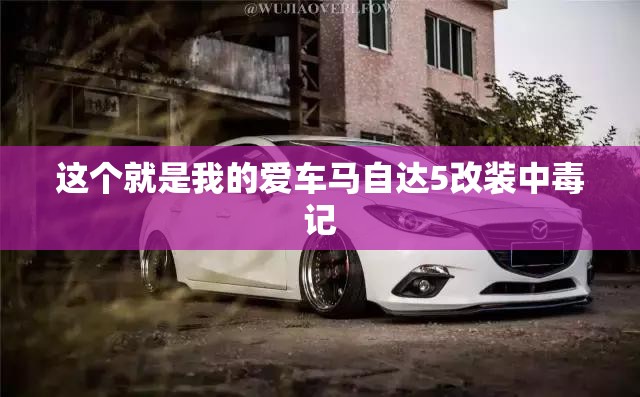 玩家辅助神器:“金宝互娱可以开挂吗!辅助神器插件下载
