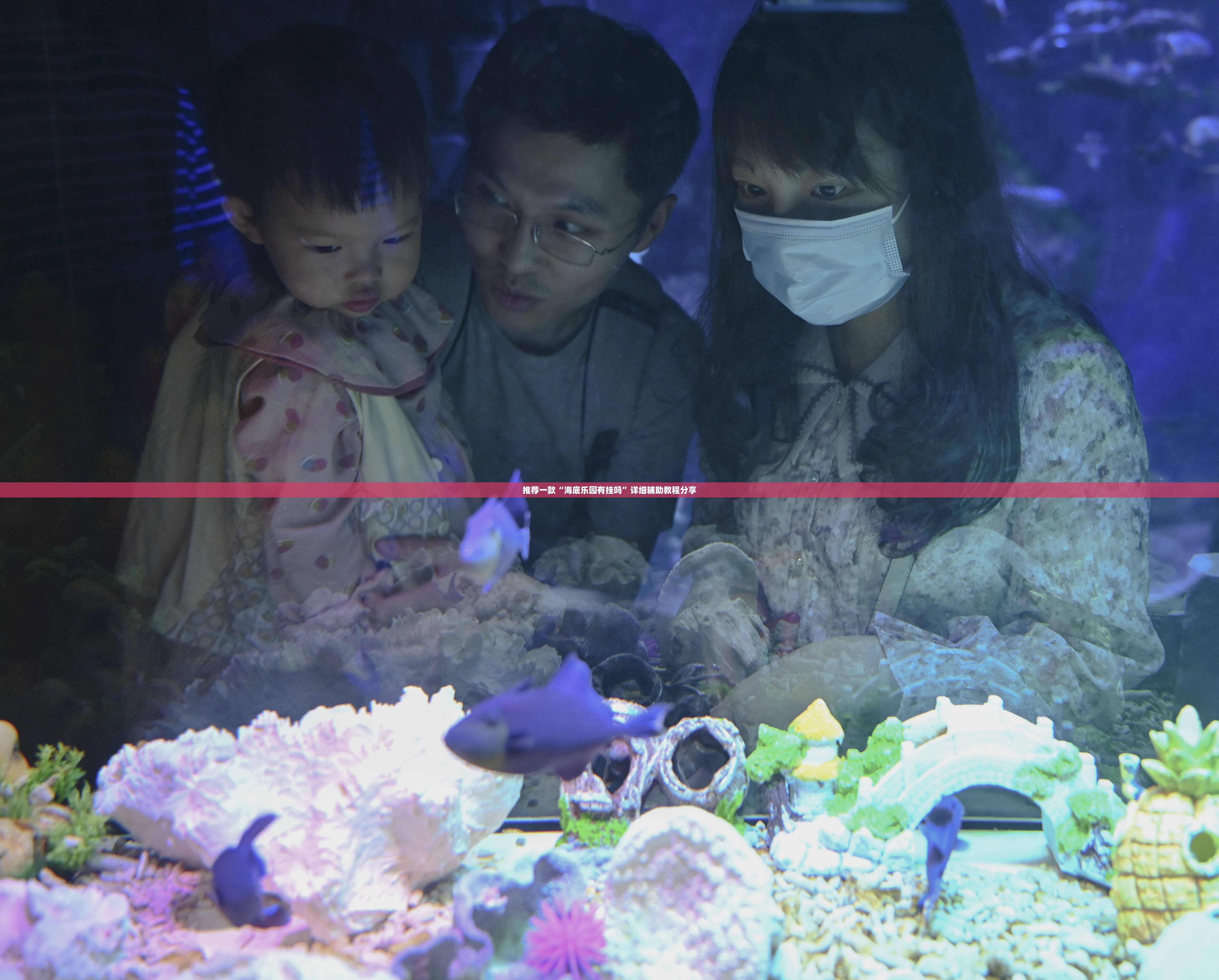 咨询嘉实海外基金(070012)