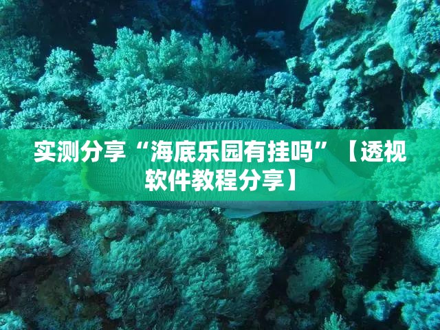 大阪机场最新状况,大阪机场最新状况查询