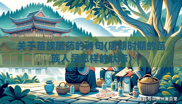 关于苗族医药的诗句(唐朝时期的苗族人是怎样的状态)