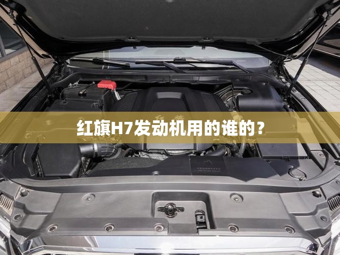 实测分享“海底乐园有挂吗”【透视软件教程分享】