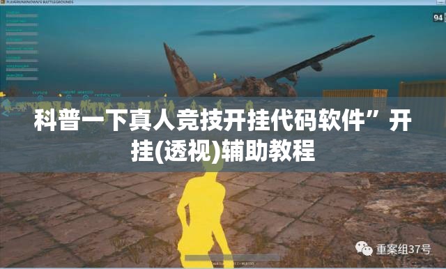 科普一下真人竞技开挂代码软件”开挂(透视)辅助教程