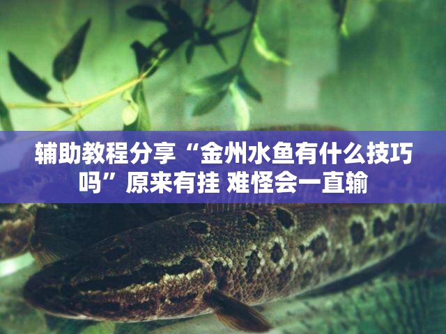 辅助教程分享“金州水鱼有什么技巧吗”原来有挂 难怪会一直输