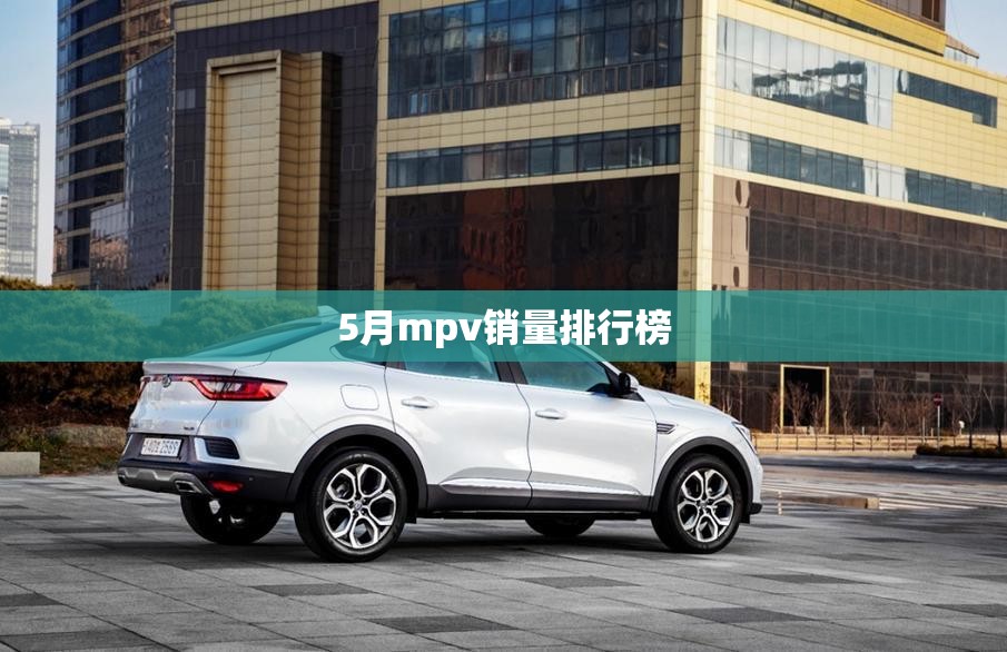 5月mpv销量排行榜