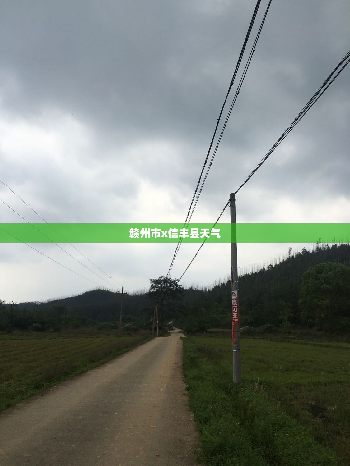 赣州市x信丰县天气